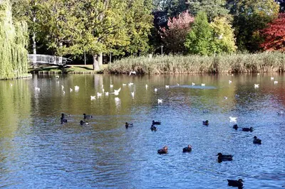 Blick auf einen Fluss in der Nähe der Ferienwohnung