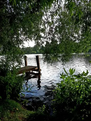 Naturlandschaft in der Nähe der Ferienwohnung