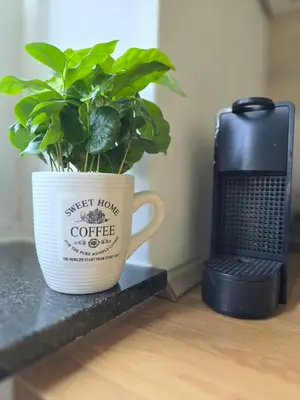Kaffee-/Teezubehör in der Unterkunft Ein Stiller Winkel an der Uni
