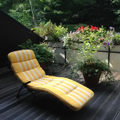Ein Garten an der Unterkunft Ferienwohnung Seepferdchen