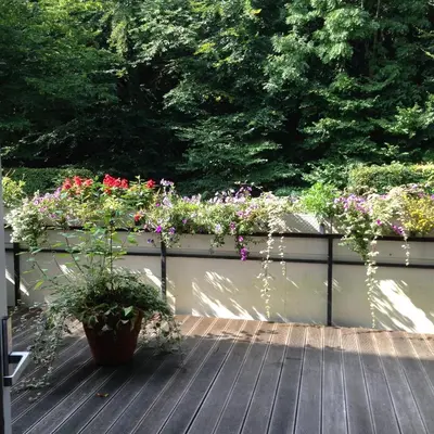 Ein Garten an der Unterkunft Ferienwohnung Seepferdchen
