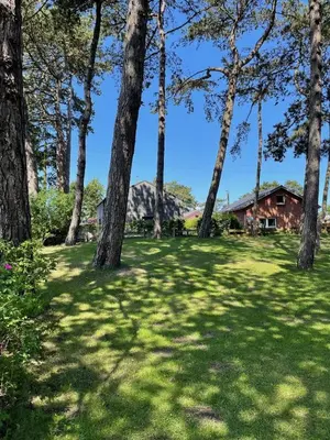 Naturlandschaft in der Nähe des Ferienhauses