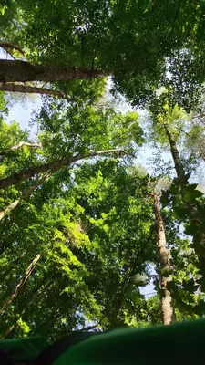 Naturlandschaft in der Nähe des Campingplatzes