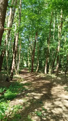 Naturlandschaft in der Nähe des Campingplatzes