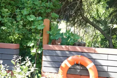 Ein Garten an der Unterkunft Ferienbucht Marina