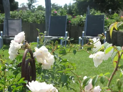 Grundriss der Unterkunft Villa Klatschmohn