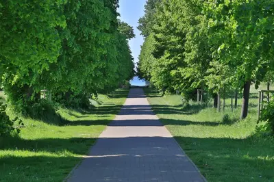 Naturlandschaft in der Nähe der Ferienwohnung