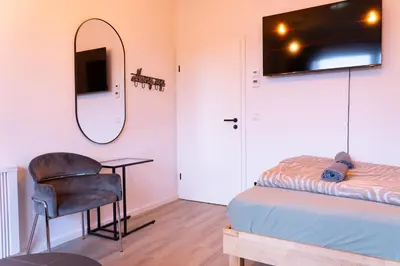 TV/Unterhaltungsangebot in der Unterkunft New central 2-3 room apartments with parking near train station & casino