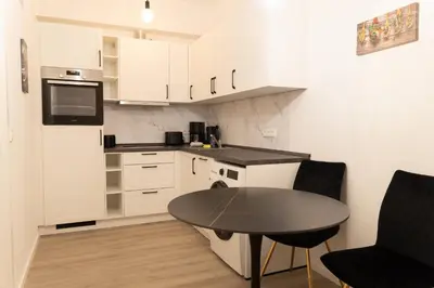 Küche/Küchenzeile in der Unterkunft New central 2-3 room apartments with parking near train station & casino