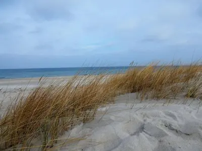 Grundriss der Unterkunft Refugium 54° Timmendorfer Strand