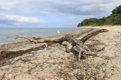 Naturlandschaft in der Nähe der Ferienwohnung