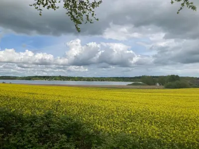 Naturlandschaft in der Nähe des Ferienhauses