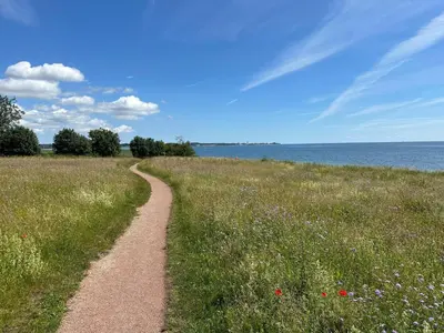 Naturlandschaft in der Nähe der Ferienwohnung