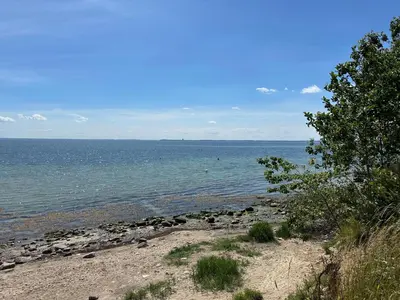 Naturlandschaft in der Nähe des Ferienhauses