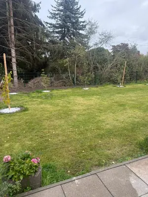 Ein Garten an der Unterkunft Ruhiges Apartment nähe Lübeck - Ostsee