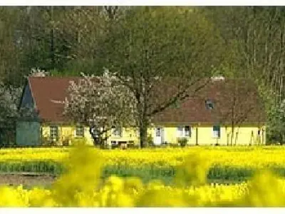 Ein Garten an der Unterkunft Apartment 3 by Interhome
