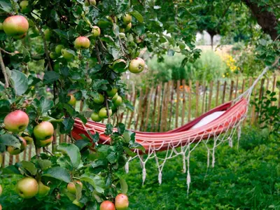 Ein Garten an der Unterkunft Bootshaus