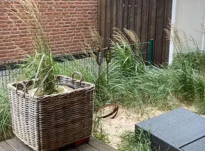 Ein Garten an der Unterkunft Strandhaus Haffkrug