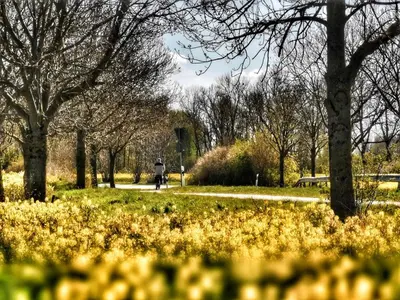 Ein Garten an der Unterkunft Apartmentvermittlung Mehr als Meer - Objekt 74