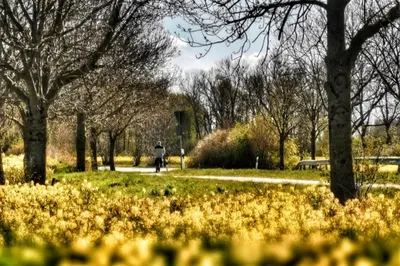 Ein Garten an der Unterkunft Apartmentvermittlung Mehr als Meer - Objekt 7