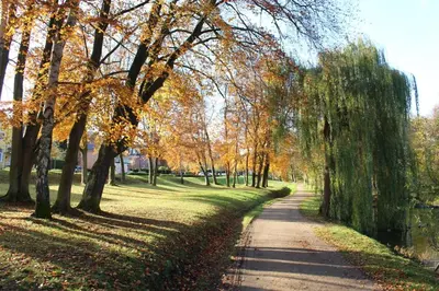 Ein Garten an der Unterkunft Apartmentvermittlung Mehr als Meer - Objekt 15