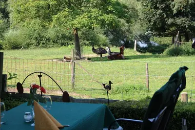 Ein Garten an der Unterkunft Hotel Thormählen