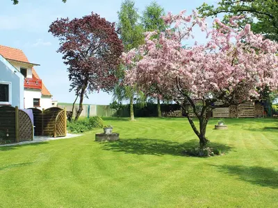 Ein Garten an der Unterkunft Ostseehaus Oe