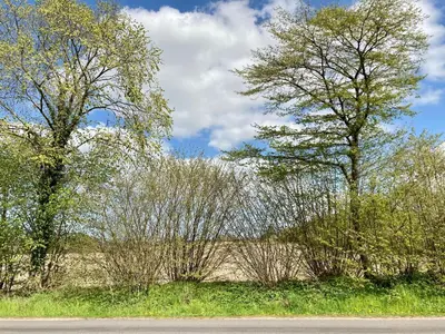 Naturlandschaft in der Nähe des Ferienhauses