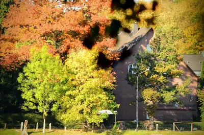 Grundriss der Unterkunft Waldhotel Twiehaus Garni
