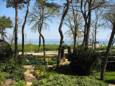 Naturlandschaft in der Nähe der Ferienwohnung