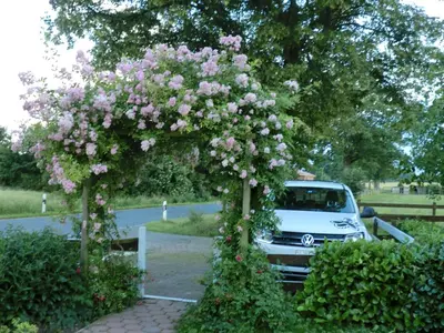 Ein Garten an der Unterkunft Ferienwohnung am Sophienberg