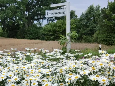 Ein Garten an der Unterkunft Ferienwohnung am Sophienberg
