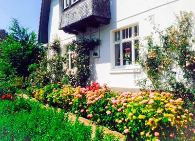 Ein Garten an der Unterkunft romantische Ferienwohnung Sachsenhof 1