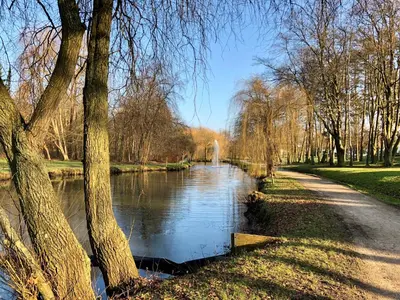 Naturlandschaft in der Nähe der Ferienwohnung