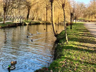 Blick auf einen Fluss in der Nähe der Ferienwohnung