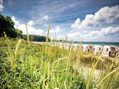 Naturlandschaft in der Nähe des Ferienhauses