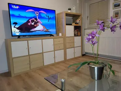 TV/Unterhaltungsangebot in der Unterkunft Sunhaus Koch