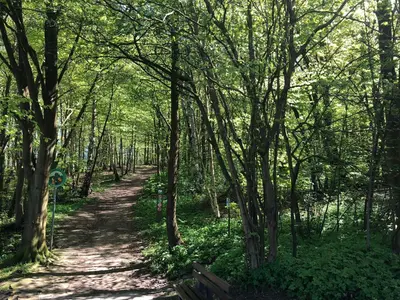 Naturlandschaft in der Nähe der Ferienwohnung