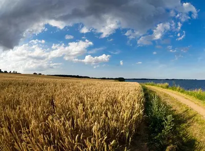 Naturlandschaft in der Nähe der Ferienwohnung