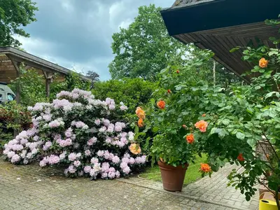 Ein Garten an der Unterkunft Waldblick