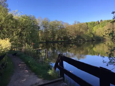 Naturlandschaft in der Nähe der Ferienwohnung
