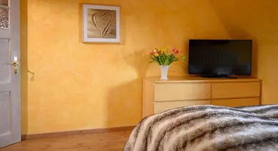 TV/Unterhaltungsangebot in der Unterkunft Altes Zollhaus Casa Meerblick