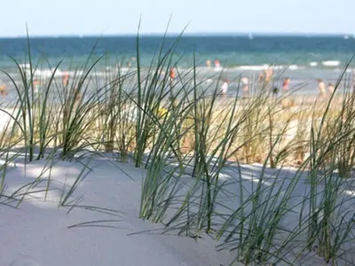 Naturlandschaft in der Nähe der Ferienwohnung