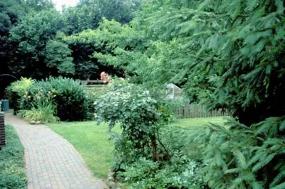 Ein Garten an der Unterkunft Haus Gori
