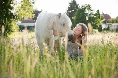 Tiere in der Ferienwohnung oder in der Nähe