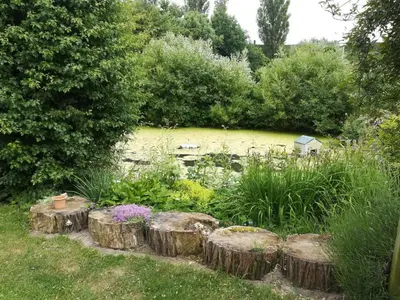 Ein Garten an der Unterkunft Jana's Fewo