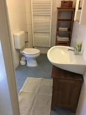 Ein Badezimmer in der Unterkunft Ferienwohnung 2 Hof Flüh