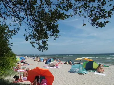 Naturlandschaft in der Nähe der Ferienwohnung