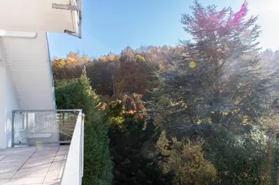 Ein Garten an der Unterkunft Ferienwohnung Ostseerauschen