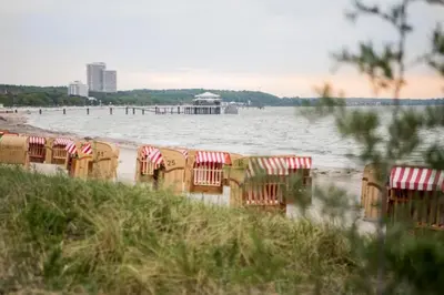Naturlandschaft in der Nähe der Ferienwohnung